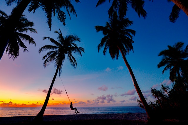 Woman on a swing below a palm tree.